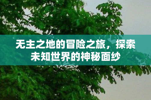 无主之地的冒险之旅,探索未知世界的神秘面纱 无主之地的冒险之旅,探索未知世界的神秘面纱
