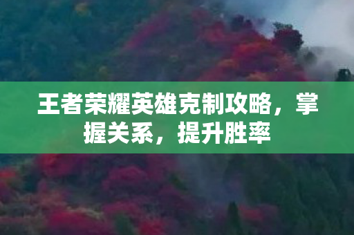 王者荣耀英雄克制攻略，掌握关系，提升胜率