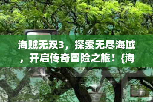 海贼无双3，探索无尽海域，开启传奇冒险之旅！{海域探险}