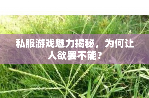 私服游戏魅力揭秘,为何让人欲罢不能? 私服游戏魅力揭秘,为何让人欲罢不能?