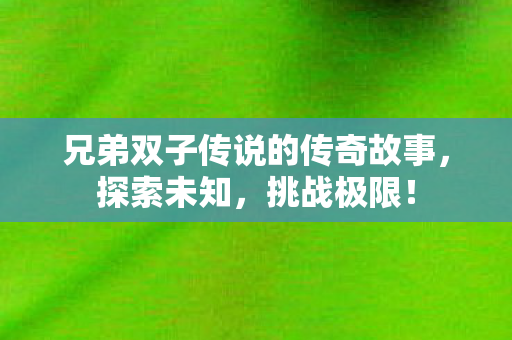 兄弟双子传说的传奇故事，探索未知，挑战极限！