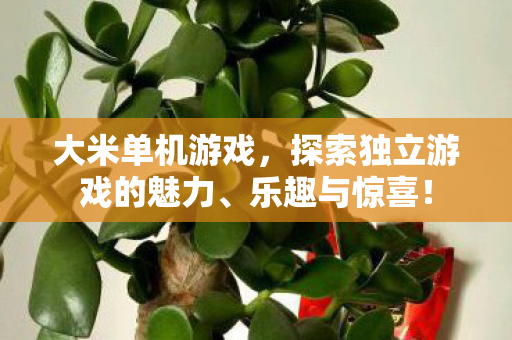 大米单机游戏,探索独立游戏的魅力、乐趣与惊喜! 大米单机游戏,探索独立游戏的魅力、乐趣与惊喜!
