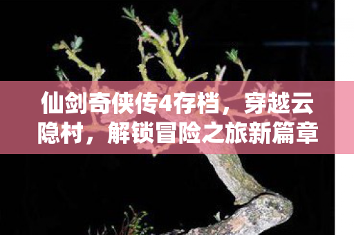 仙剑奇侠传4存档,穿越云隐村,解锁冒险之旅新篇章! 仙剑奇侠传4存档,穿越云隐村,解锁冒险之旅新篇章!