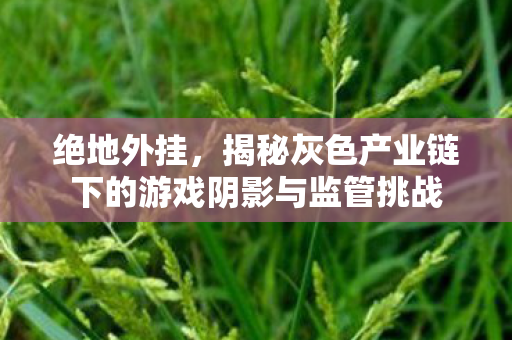 揭秘灰色产业链下的游戏阴影与监管挑战图片