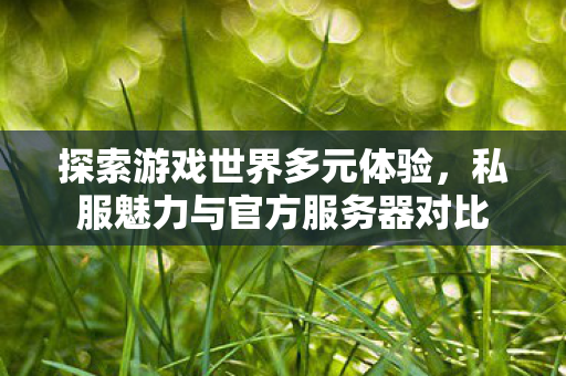 私服魅力与官方服务器对比图片