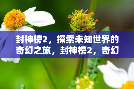 封神榜2,探索未知世界的奇幻之旅,封神榜2,奇幻之旅,探索未知世界 封神榜2,探索未知世界的奇幻之旅,封神榜2,奇幻之旅,探索未知世界
