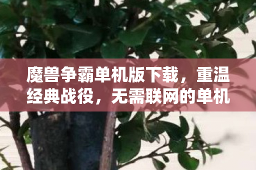 魔兽争霸单机版下载，重温经典战役，无需联网的单机体验 - 2023年最新版下载链接