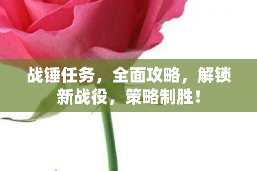 战锤任务，全面攻略，解锁新战役，策略制胜！