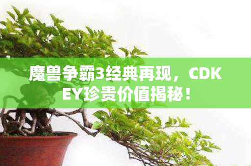 CDKEY珍贵价值揭秘图片