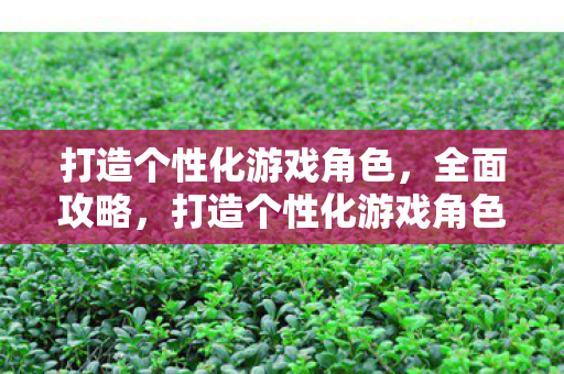 打造个性化游戏角色,全面攻略,打造个性化游戏角色全攻略 打造个性化游戏角色,全面攻略,打造个性化游戏角色全攻略