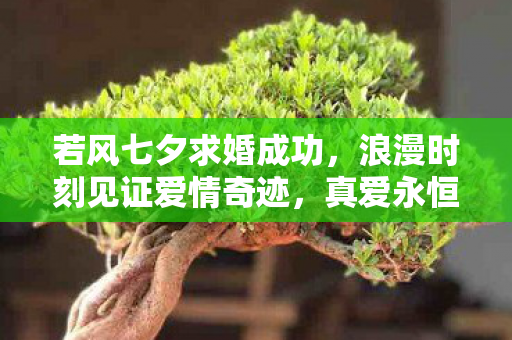 若风七夕求婚成功，浪漫时刻见证爱情奇迹，真爱永恒！
