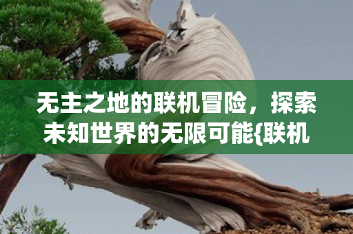 无主之地的联机冒险，探索未知世界的无限可能{联机攻略}