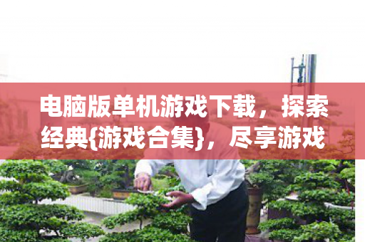 电脑版单机游戏下载,探索经典{游戏合集},尽享游戏乐趣 电脑版单机游戏下载,探索经典{游戏合集},尽享游戏乐趣
