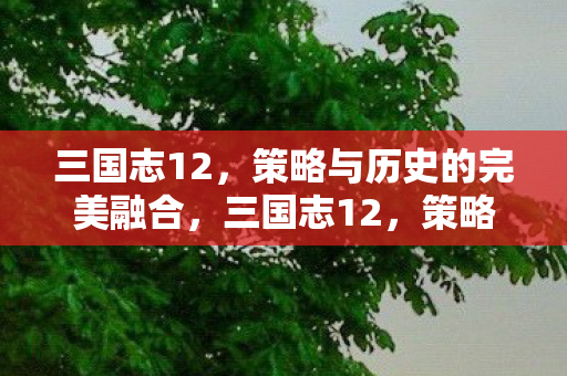 三国志12，策略与历史的完美融合，三国志12，策略与历史的完美融合