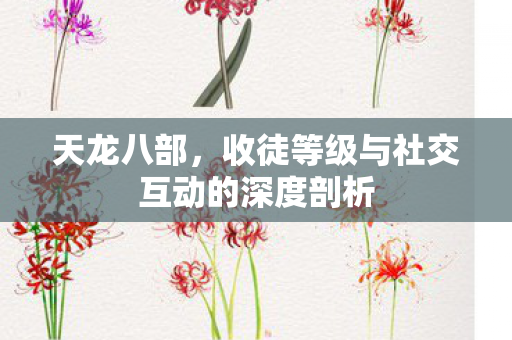 天龙八部,收徒等级与社交互动的深度剖析 天龙八部,收徒等级与社交互动的深度剖析
