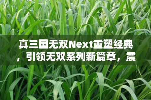 真三国无双Next重塑经典,引领无双系列新篇章,震撼来袭! 真三国无双Next重塑经典,引领无双系列新篇章,震撼来袭!