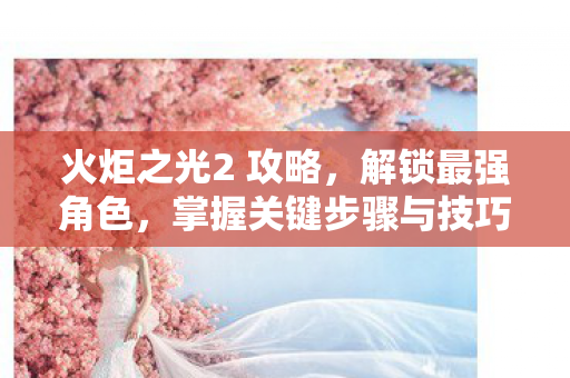 掌握关键步骤与技巧图片