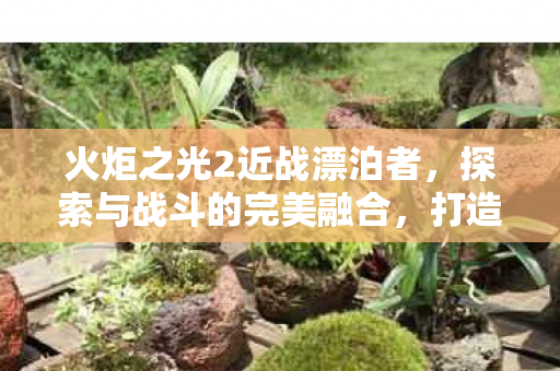 火炬之光2近战漂泊者，探索与战斗的完美融合，打造最强战斗风格！