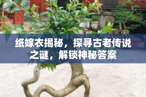 探寻古老传说之谜图片