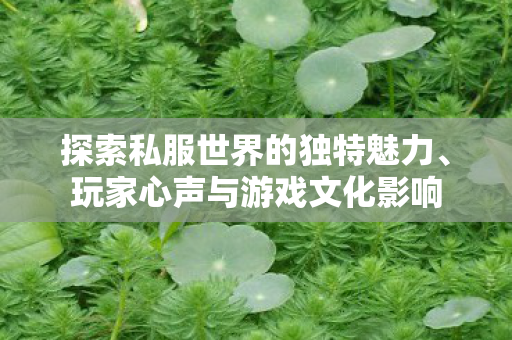 探索私服世界的独特魅力图片