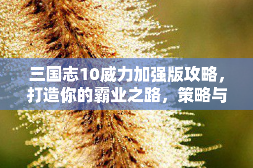 三国志10威力加强版攻略图片