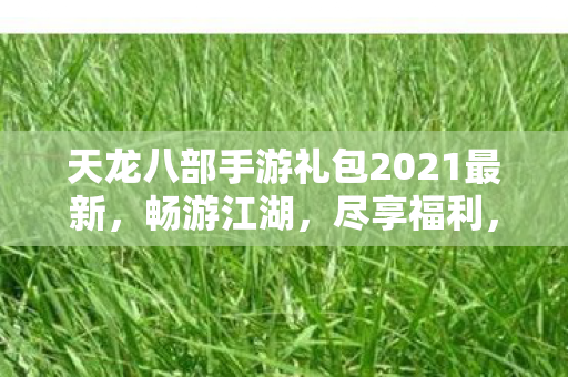 天龙八部手游礼包2021最新，畅游江湖，尽享福利，天龙八部手游2021最新礼包，畅游江湖，领取丰厚福利！