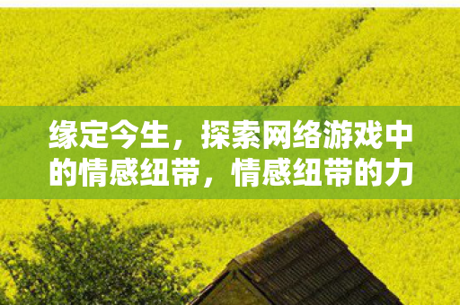 缘定今生,探索网络游戏中的情感纽带,情感纽带的力量 缘定今生,探索网络游戏中的情感纽带,情感纽带的力量