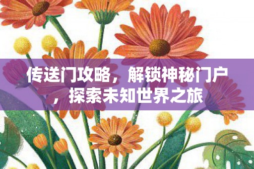 传送门攻略，解锁神秘门户，探索未知世界之旅