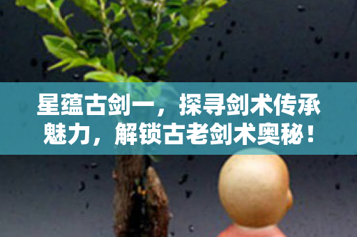 探寻剑术传承魅力图片