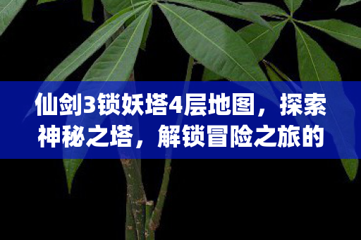 仙剑3锁妖塔4层地图图片