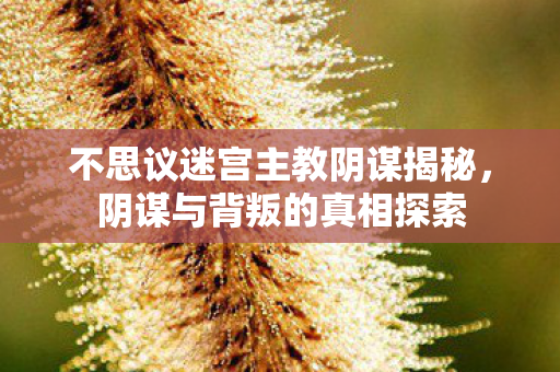 不思议迷宫主教阴谋揭秘,阴谋与背叛的真相探索 不思议迷宫主教阴谋揭秘,阴谋与背叛的真相探索