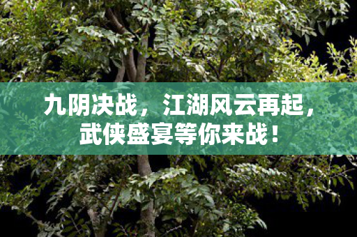 九阴决战,江湖风云再起,武侠盛宴等你来战! 九阴决战,江湖风云再起,武侠盛宴等你来战!