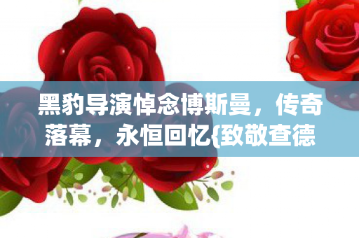 黑豹导演悼念博斯曼，传奇落幕，永恒回忆{致敬查德威克·博斯曼}