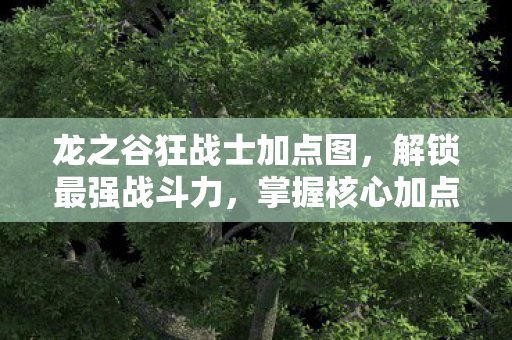 龙之谷狂战士加点图图片