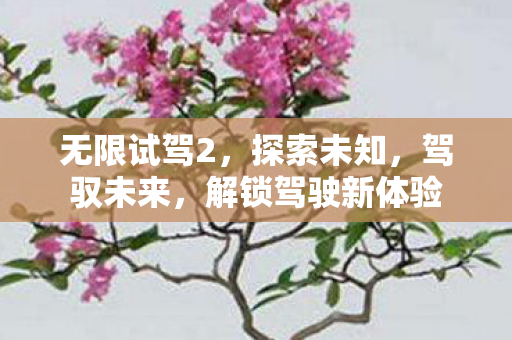 无限试驾2,探索未知,驾驭未来,解锁驾驶新体验 无限试驾2,探索未知,驾驭未来,解锁驾驶新体验