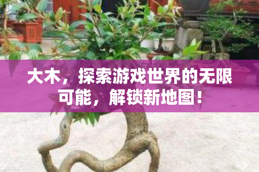 大木，探索游戏世界的无限可能，解锁新地图！