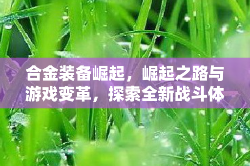 合金装备崛起，崛起之路与游戏变革，探索全新战斗体验