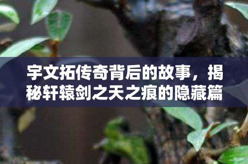 宇文拓传奇背后的故事，揭秘轩辕剑之天之痕的隐藏篇章