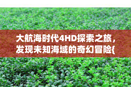 大航海时代4HD探索之旅，发现未知海域的奇幻冒险{航海}