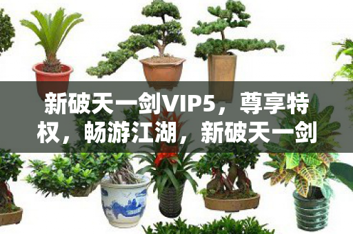 新破天一剑VIP5，尊享特权，畅游江湖，新破天一剑VIP5特权，畅游江湖尽享尊崇体验