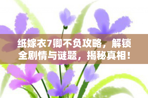纸嫁衣7卿不负攻略，解锁全剧情与谜题，揭秘真相！