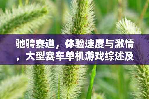 驰骋赛道,体验速度与激情,大型赛车单机游戏综述及推荐 驰骋赛道,体验速度与激情,大型赛车单机游戏综述及推荐