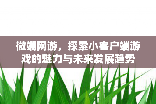 微端网游,探索小客户端游戏的魅力与未来发展趋势 微端网游,探索小客户端游戏的魅力与未来发展趋势