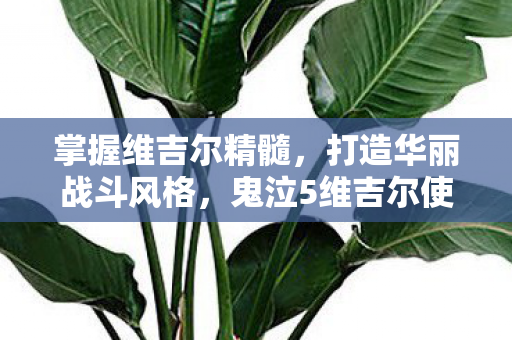 掌握维吉尔精髓,打造华丽战斗风格,鬼泣5维吉尔使用技巧全解析 掌握维吉尔精髓,打造华丽战斗风格,鬼泣5维吉尔使用技巧全解析