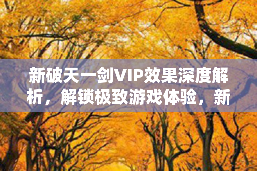 新破天一剑VIP效果深度解析，解锁极致游戏体验，新破天一剑VIP特权全解析，解锁极致游戏体验