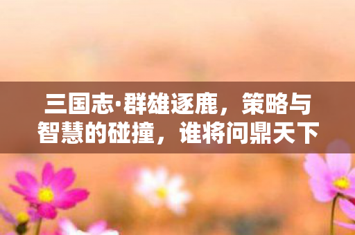 三国志·群雄逐鹿，策略与智慧的碰撞，谁将问鼎天下？