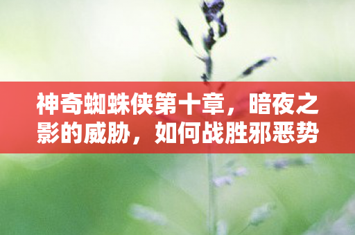 神奇蜘蛛侠第十章,暗夜之影的威胁,如何战胜邪恶势力? 神奇蜘蛛侠第十章,暗夜之影的威胁,如何战胜邪恶势力?