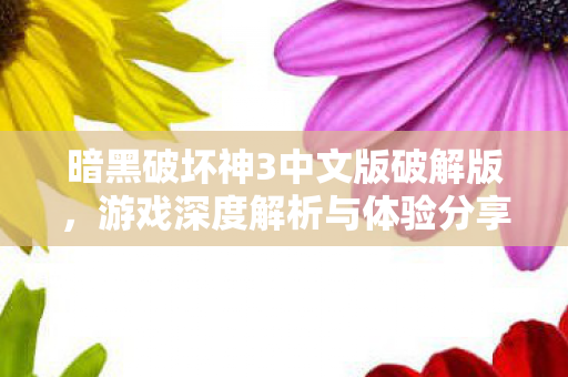 暗黑破坏神3中文版破解版图片