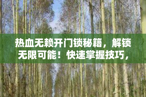 热血无赖开门锁秘籍,解锁无限可能!快速掌握技巧,轻松通关游戏 热血无赖开门锁秘籍,解锁无限可能!快速掌握技巧,轻松通关游戏