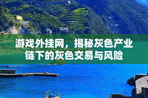 游戏外挂网，揭秘灰色产业链下的灰色交易与风险